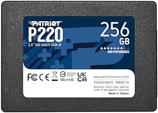 Patriot Memory P220 Dahili Solid State Drive 256GB SSD SATA 3 2,5 inç