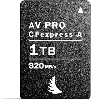 Angelbird AV Pro CFexpress Tip A (1 TB)